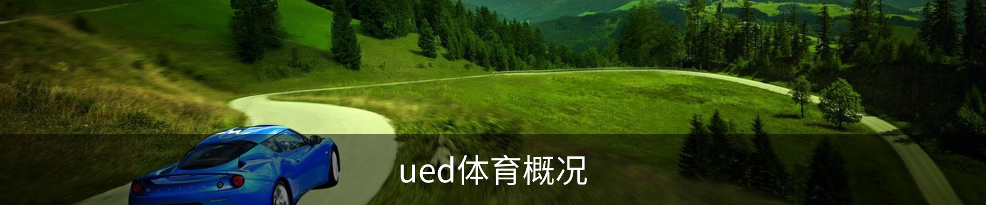 ued体育概况